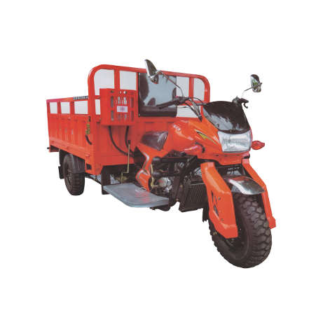 Dongben Brand Tricycle (DB175ZH-175CC)