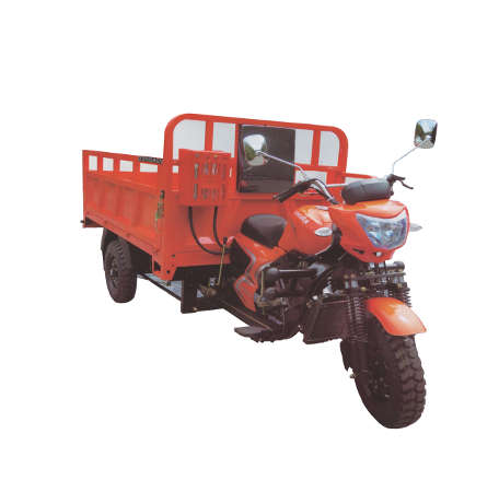 Dongben Brand Tricycle (DB250ZH-250CC)