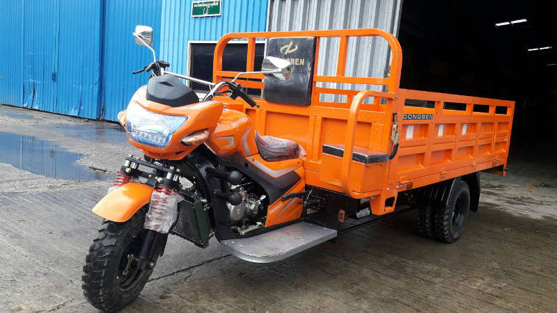Dongben Brand Tricycle (DB300ZH-300CC)(9 Feet)