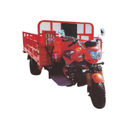 Dongben Brand Tricycle (DB300ZH-300CC)
