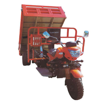 Dongben Brand Tricycle Tipper (DB300ZH Plus-300CC)