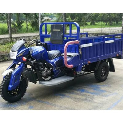 Xunling Brand Tricycle (XL175ZH-175CC)