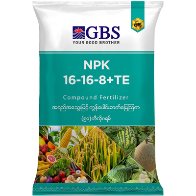 GBS Brand Fertilizer : NPK Compound Fertilizer (16-16-8+TE)