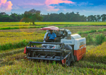 ရိတ်သိမ်းခြွေလှေ့စက်